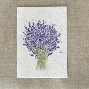 Bouquet de lavande – Carte à planter A6