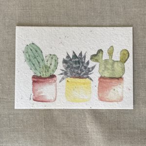 Trio de cactus – carte à planter A6