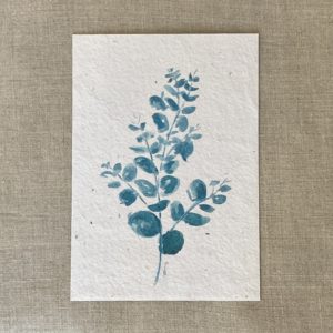 Eucalyptus bleu – Carte à planter A6